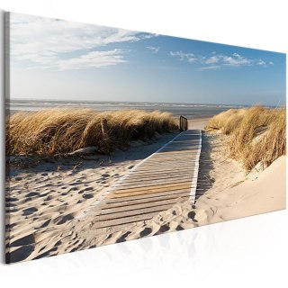 Obraz - Widok na plażę i wydmy