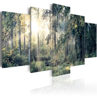 Obraz 5-częściowy - Słoneczny Las, Natura