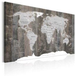 Obraz - Mapa świata: Drewniany świat