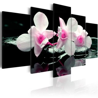 Obraz 5-częściowy - Odpoczynek orchidei