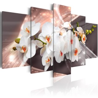 Obraz 5-częściowy - Nowoczesny, Orchidee