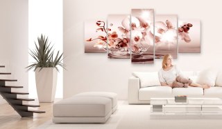 Obraz 5-częściowy - Liryka orchidei