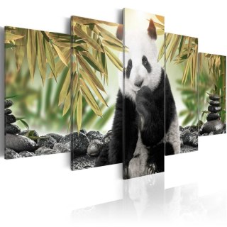 Obraz 5-częściowy - Uroczy miś panda