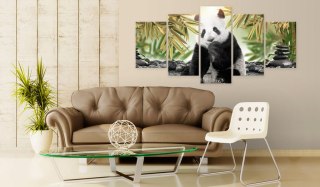 Obraz 5-częściowy - Uroczy miś panda