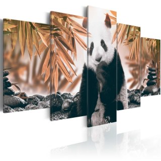 Obraz 5-częściowy - Zamyślona panda