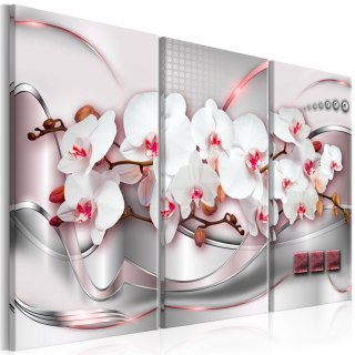 Obraz - Różowe orchidee