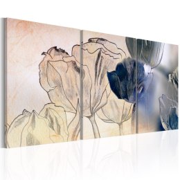 Obraz - Szkic tulipanów