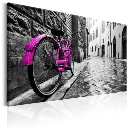 Obraz - Vintage Pink Bike