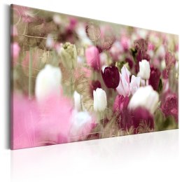 Obraz - Łąka tulipanów