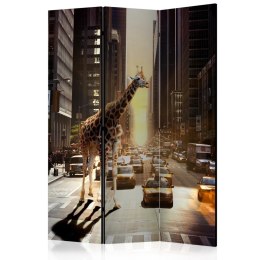 Parawan 3-częściowy - Żyrafa w wielkim mieście