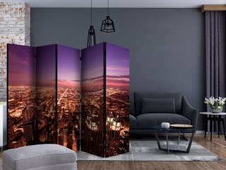 Parawan 5-częściowy - Panorama Chicago II