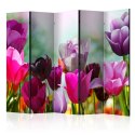 Parawan 5-częściowy - Piękne tulipany II