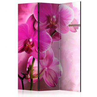 Parawan 3-częściowy - Różowa orchidea