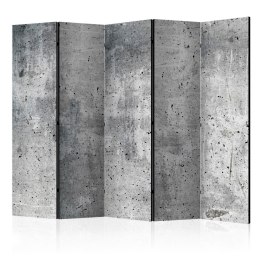Parawan 5-częściowy - Świeży beton II