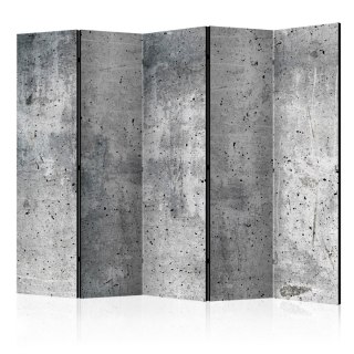 Parawan 5-częściowy - Świeży beton II