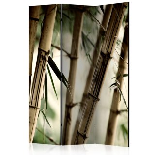 Parawan 3-częściowy - Fog and bamboo forest