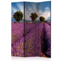 PARAWAN 3-CZĘŚCIOWY POKOJOWY, DEKORACYJNY 135 CM, Lavender field in Provence, France