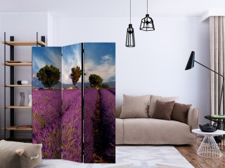 Parawan 3-częściowy - Lavender field in Provence, France