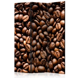 Parawan 3-częściowy - Roasted coffee beans
