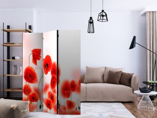 Parawan 3-częściowy - Sleepy poppy's land