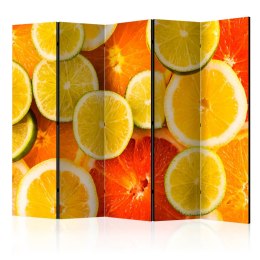 Parawan 5-częściowy - Citrus fruits II