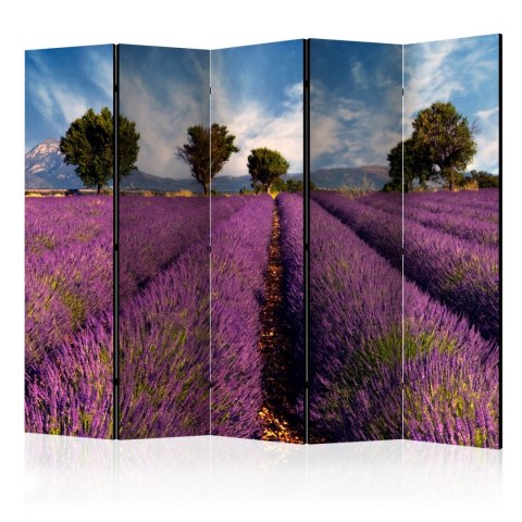 Parawan 5-częściowy - Lavender field in Provence, France II