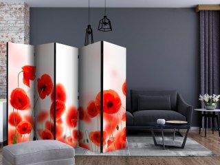 Parawan 5-częściowy - Sleepy poppy's land II