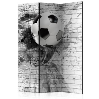 Parawan 3-częściowy - Dynamika futbolu