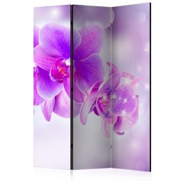 PARAWAN 3-CZĘŚCIOWY POKOJOWY, DEKORACYJNY 135 CM, Fioletowe orchidee