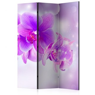 Parawan 3-częściowy - Fioletowe orchidee
