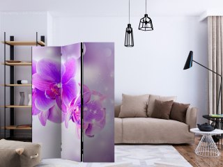 Parawan 3-częściowy - Fioletowe orchidee