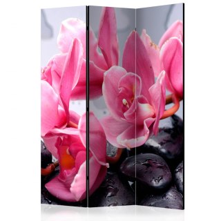 Parawan 3-częściowy - Kwiaty orchidei i kamień