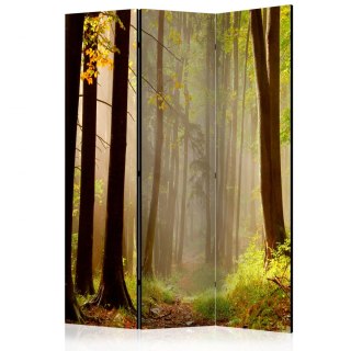 Parawan 3-częściowy - Mysterious forest path