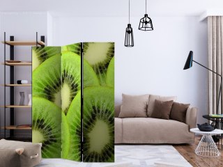 Parawan 3-częściowy - Plasterki kiwi