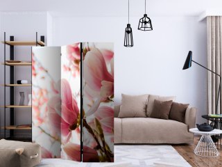 Parawan 3-częściowy - Różowa magnolia