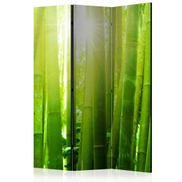 Parawan 3-częściowy - Słońce i bambus
