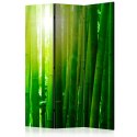 Parawan 3-częściowy - Słońce i bambus