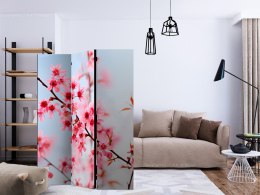 Parawan 3-częściowy - Symbol Japonii - kwiaty wiśni sakura