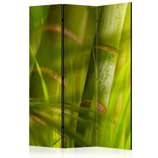 Parawan 3-częściowy - bambus - natura zen