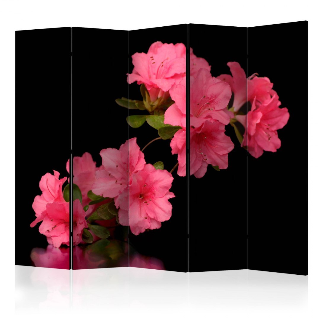Parawan 5-częściowy - Azalea in Black II Parawan 5-częściowy - Azalea in Black II