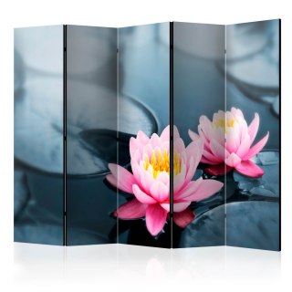 Parawan 5-częściowy - Lotus blossoms II