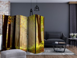 Parawan 5-częściowy - Mysterious forest path II