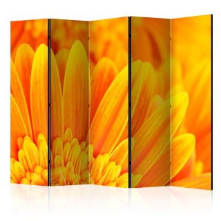Parawan 5-częściowy - Żółta gerbera II