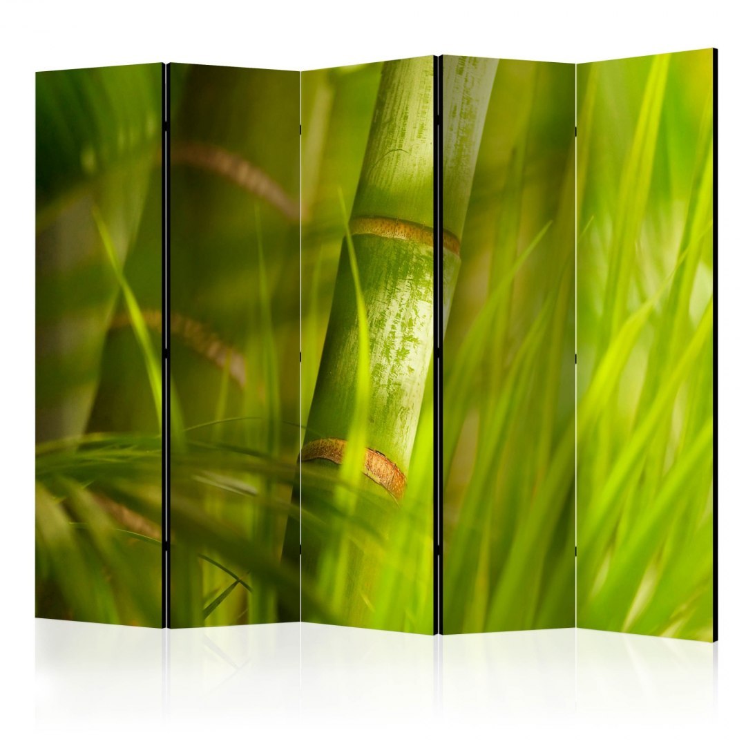 Parawan 5-częściowy - bambus - natura zen II Parawan 5-częściowy - bambus - natura zen II