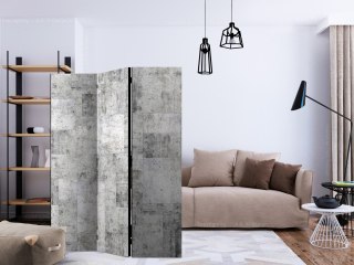 Parawan 3-częściowy - Beton: Szare miasto