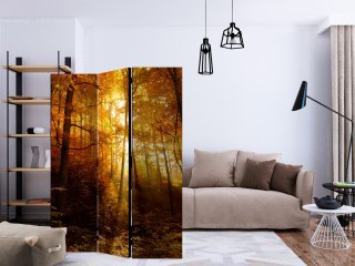 Parawan 3-częściowy - Jesienna iluminacja