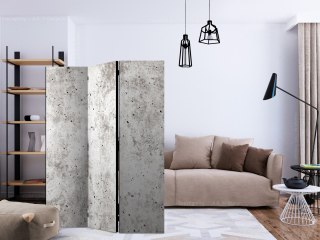 Parawan 3-częściowy - Miejski styl: Beton