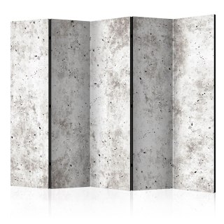 Parawan 5-częściowy - Miejski styl: Beton II