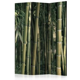 Parawan 3-częściowy - Bambusowa egzotyka