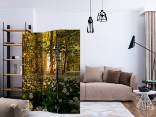 Parawan 3-częściowy - Leśna flora